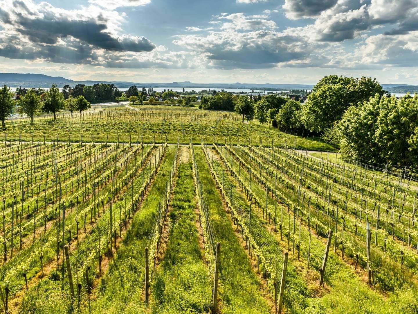 Für unsere Secco-Liebhaber - 3 Tage am Bodensee