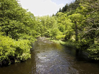 4 Tage Romantikurlaub in der Eifel inkl. Halbpension 