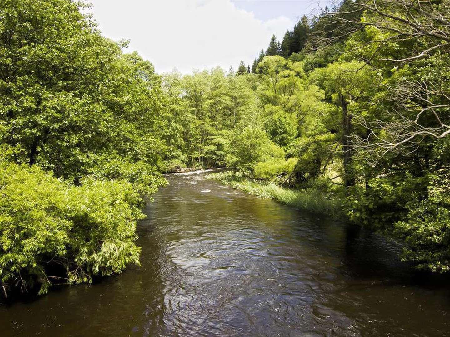 3 Tage Kurzurlaub in der Eifel inkl. luxuriöses 3-Gang-Menü & Massage