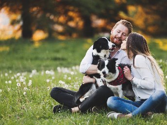 Urlaub mit Hund - Kurzurlaub in Aldingen