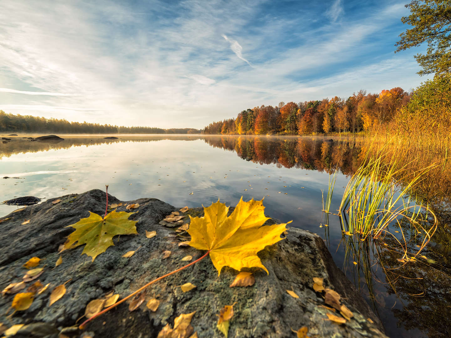 Urlaub der Umwelt zu Liebe - Co2 neutral am Edersee