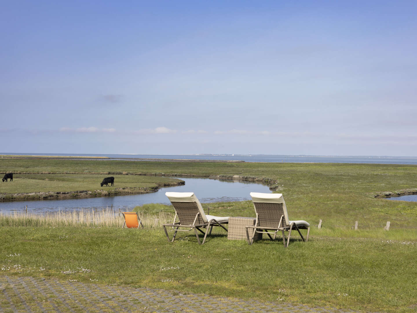 Zauber der Natur - einfach einzigartig auf der Hallig 