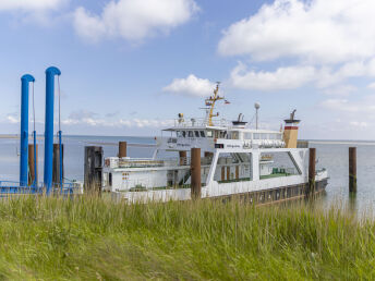 Zauber der Natur - einfach einzigartig auf der Hallig 