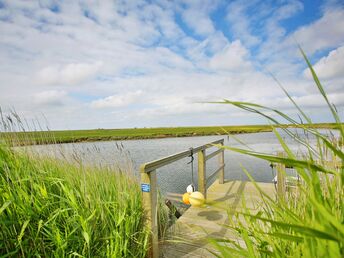 Zauber der Natur - einfach einzigartig auf der Hallig 