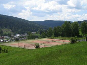 6 Schlemmertage in Klingenthal im Vogtland inkl. Halbpension