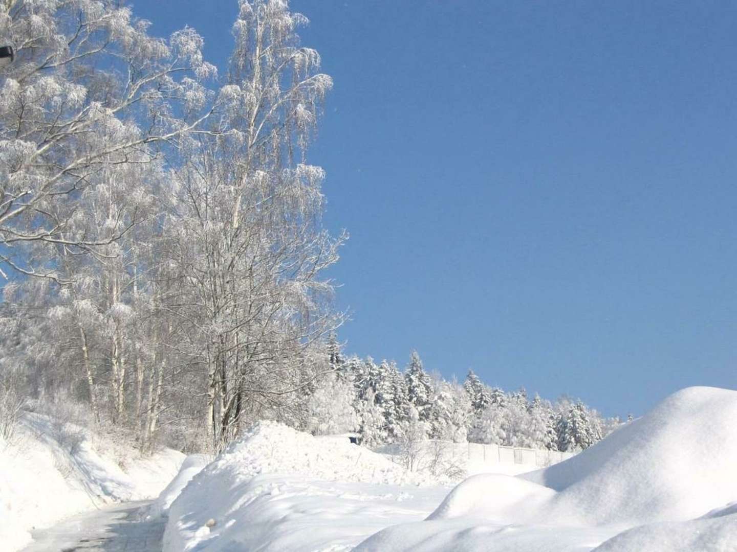 3 Erlebnistage in Klingenthal im Vogtland 