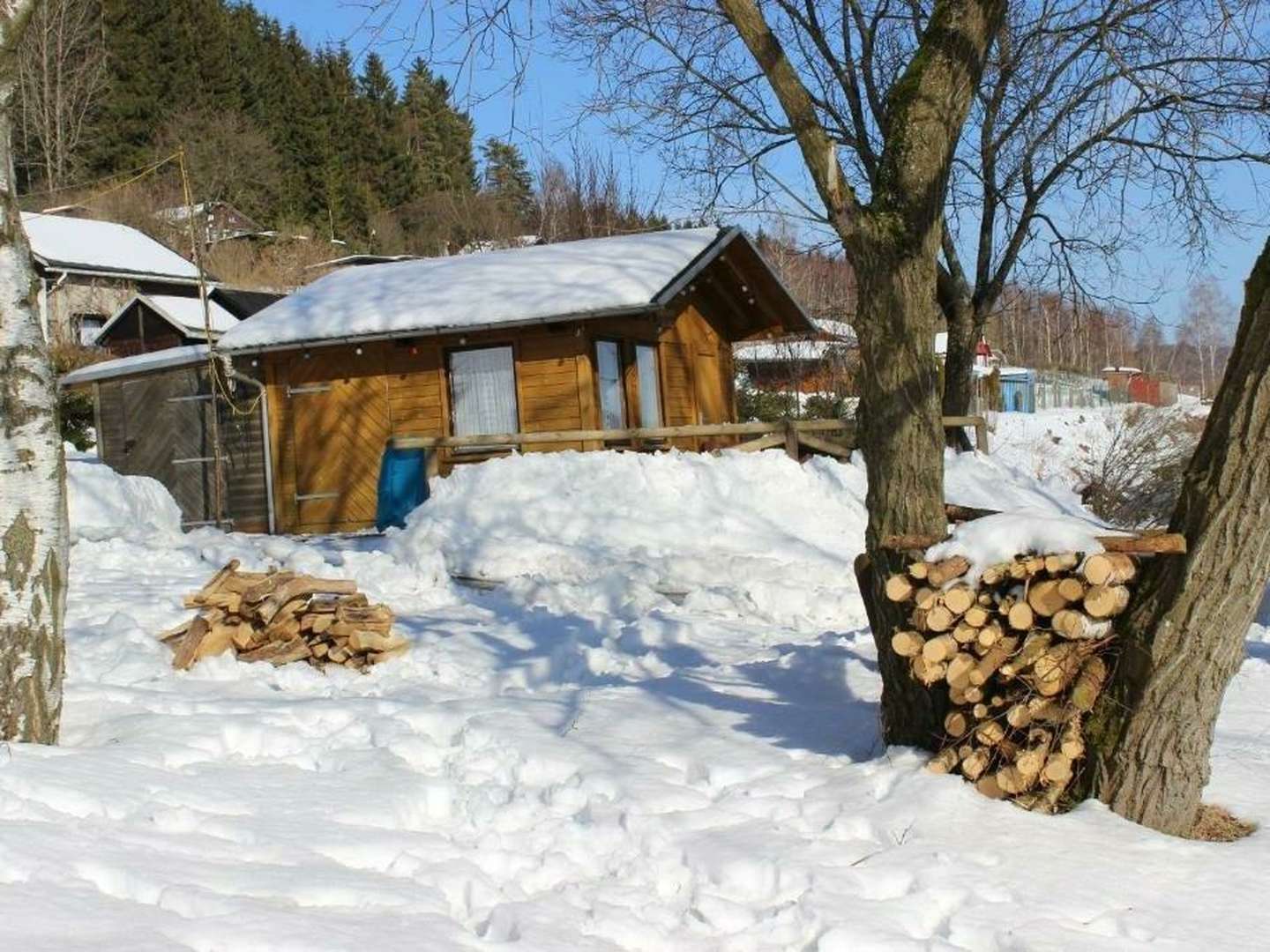 3 Erlebnistage in Klingenthal im Vogtland 