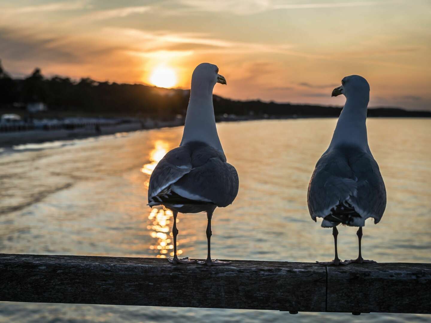 3 Tage Kurzkurlaub auf der Insel Rügen