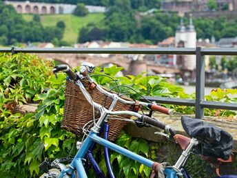 Heidelberger Frühling |4 Tage