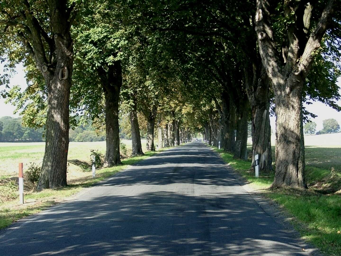 Auszeit vom Alltag an der Mecklenburgischen Seenplatte