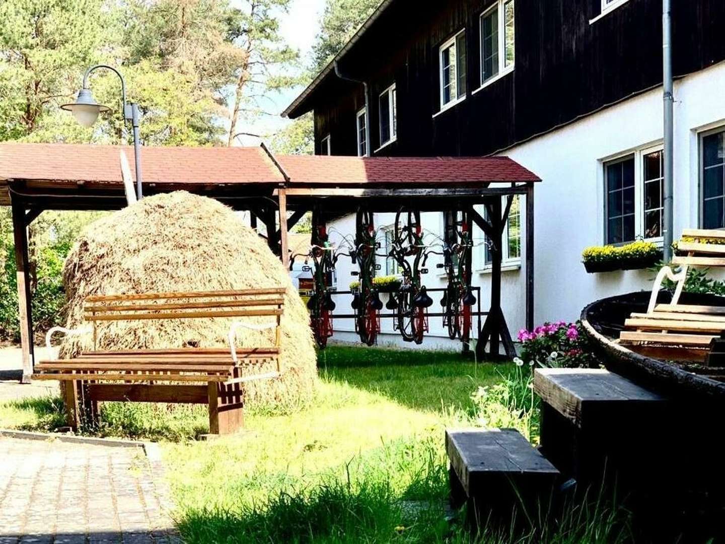 Kuscheln erlaubt - 4 Tage im Spreewald inkl. Thermenbesuch