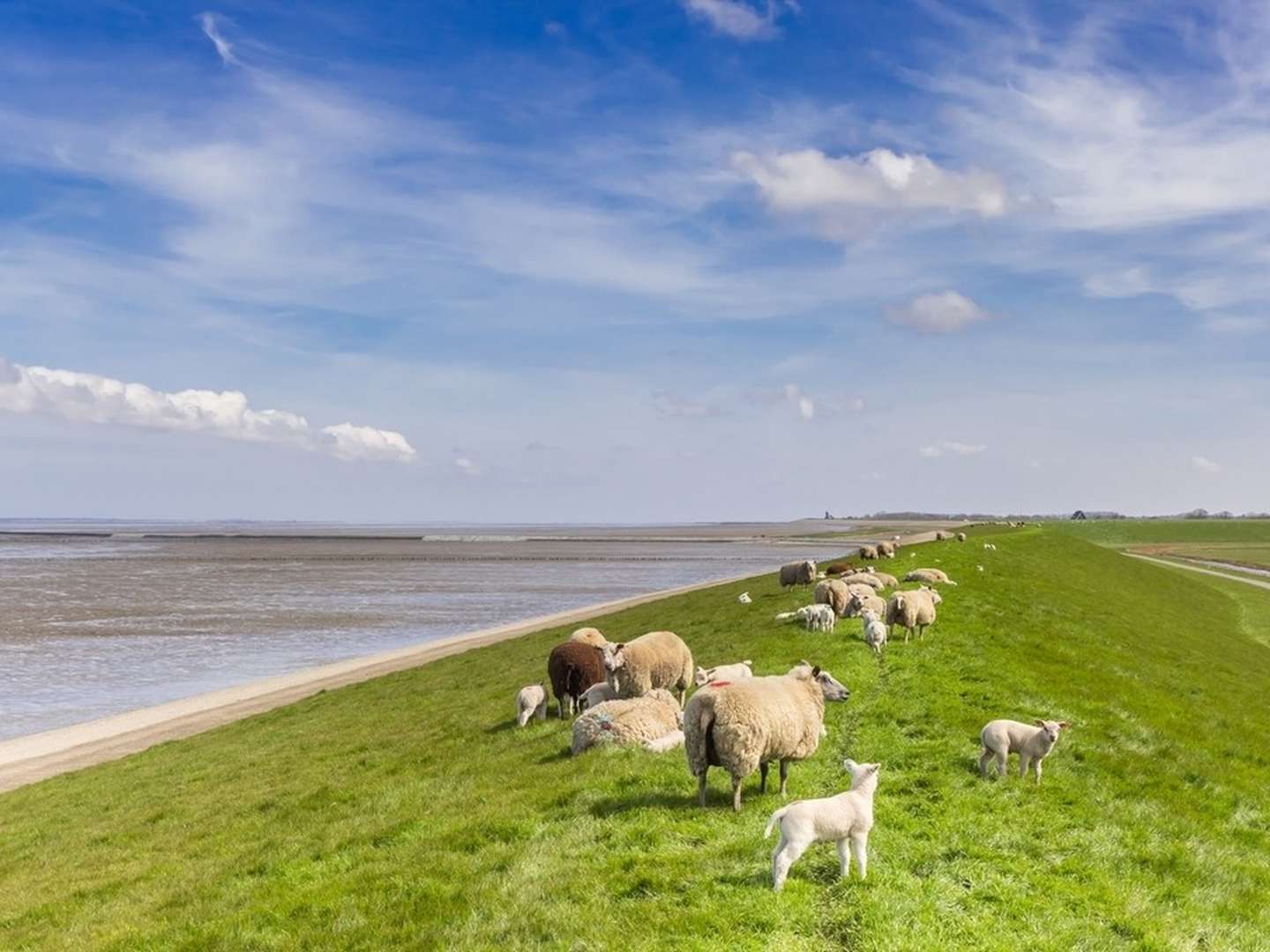 Romantische Erholungszeit in Nordfriesland inkl. 1x Abendessen