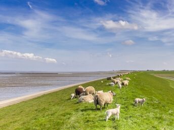 Romantischer Urlaub in Nordfriesland inkl. 1x Abendessen