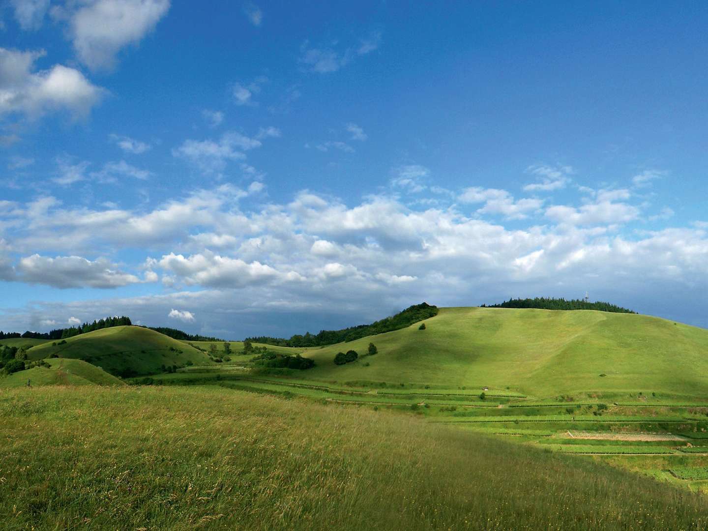 Wein - Wellness am Kaiserstuhl