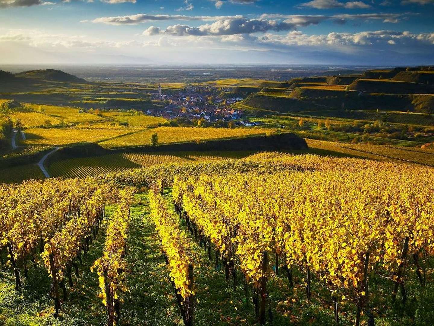 Wein - Wellness am Kaiserstuhl