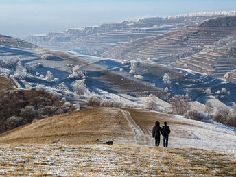 Winter-Wander-Land 