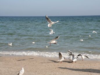 Ostern an der Ostsee inkl. 2 Abendmenüs