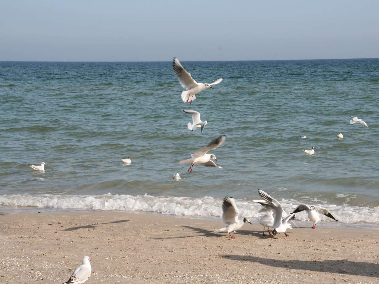 3 Tage Ostseebrise inkl. 1 x 2-Gang-Abendmenü 