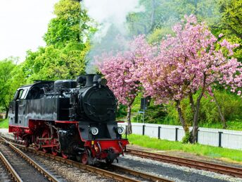 3 Tage Ostseebrise inkl. 1 x 2-Gang-Abendmenü 