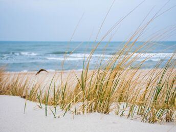 3 Tage Ostseebrise inkl. 1 x 2-Gang-Abendmenü 