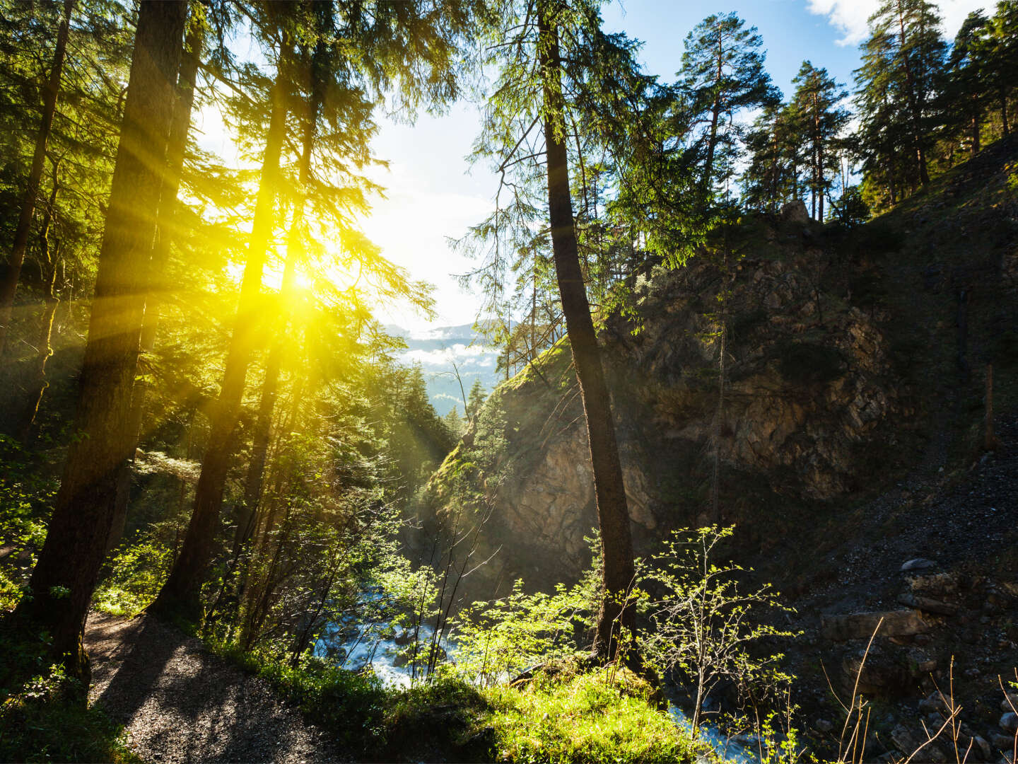 Schwarzwald zwischen Titisee & Schluchsee: Wandern, Action oder einfach nur entspannen