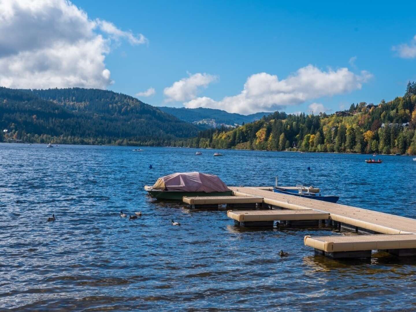 Kurzurlaub im Schwarzwald zwischen Titisee & Schluchsee