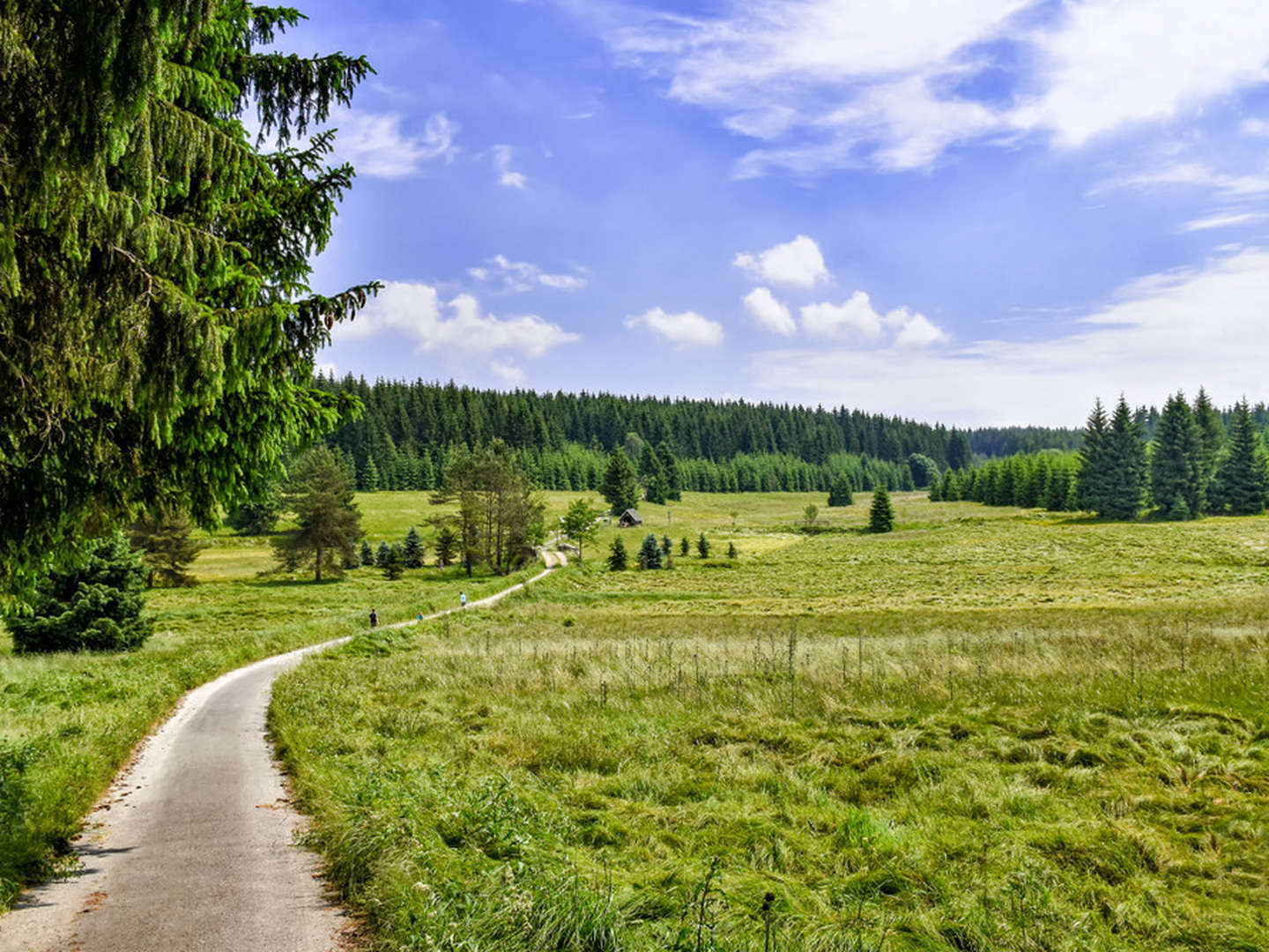 4 Tage Kurzurlaub im Erzgebirge inkl. 3-Gang Menü