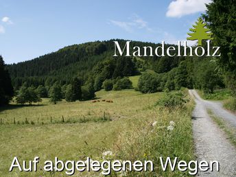 Auf abgelegenen Wegen 3 Tage im Harz unterwegs