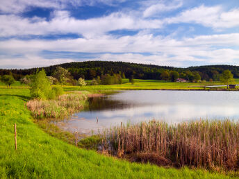 2 Tage Wandern und Genießen im Weserbergland inkl. 3-Gänge-Menü