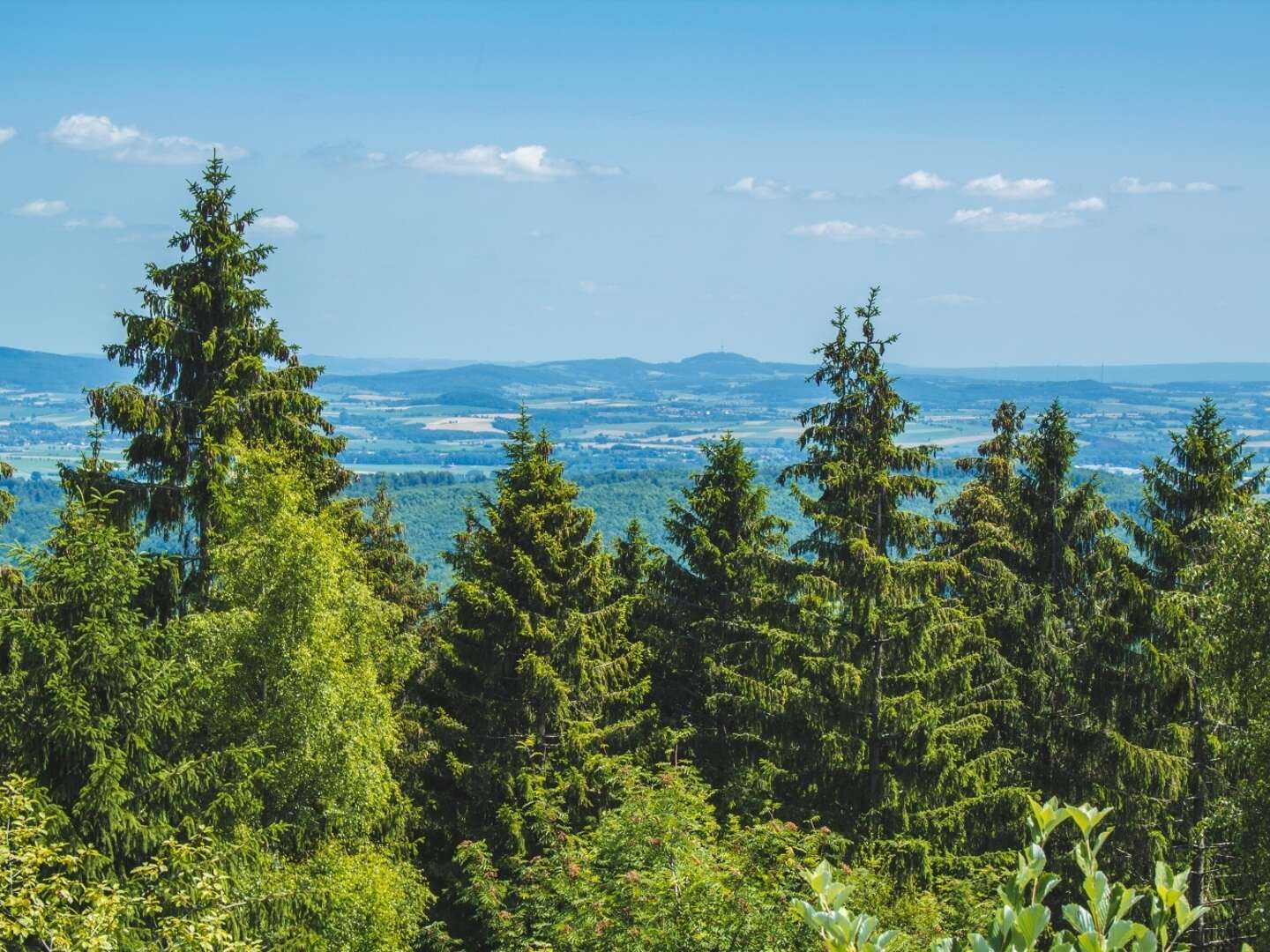 2 Tage Wandern und Genießen im Weserbergland inkl. 3-Gänge-Menü