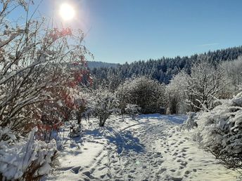 In des Waldes Ruh im Erzgebirge 