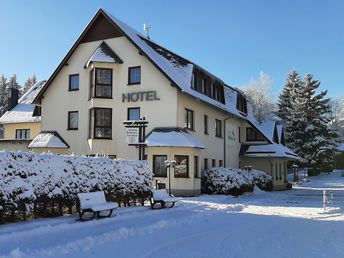 In des Waldes Ruh im Erzgebirge 