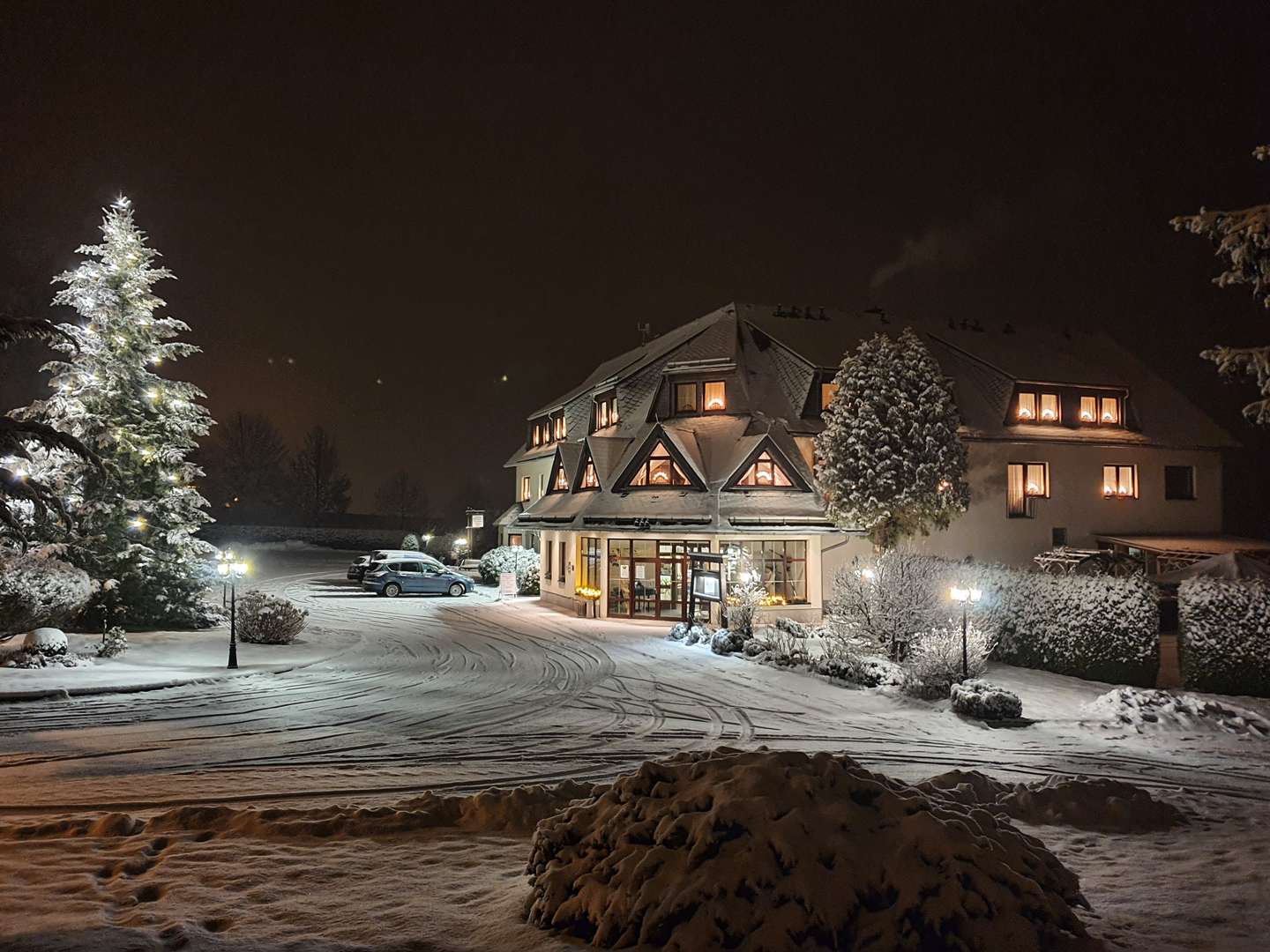 In des Waldes Ruh im Erzgebirge 