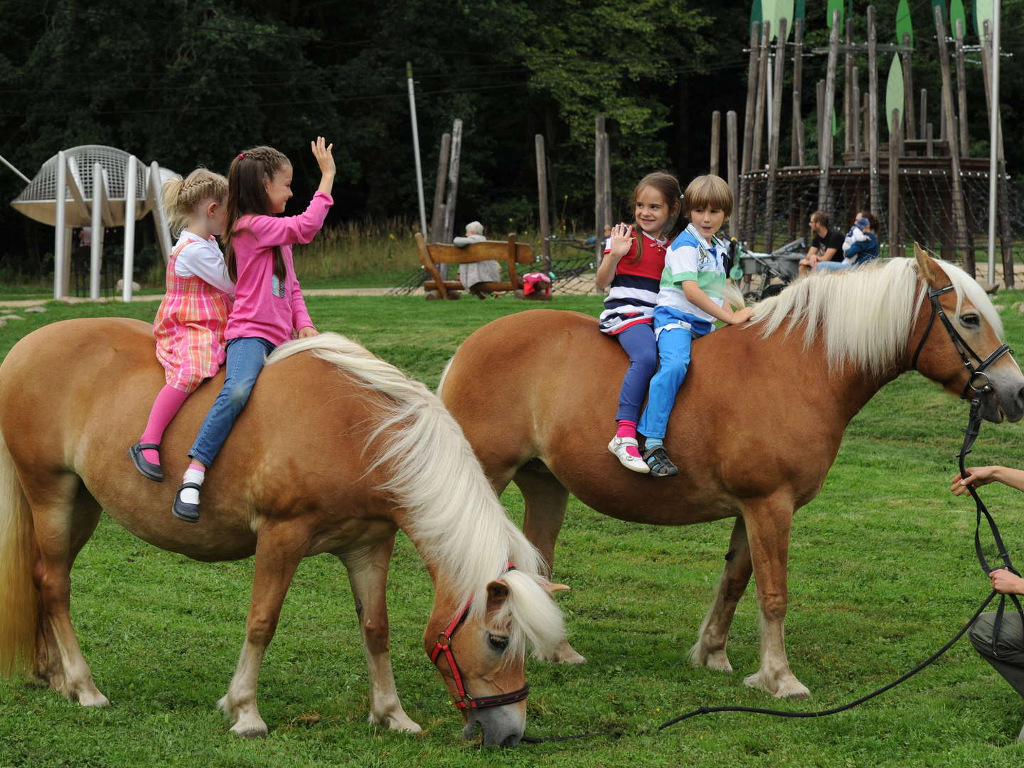 Ein tierisches Abenteuer - Familienurlaub am Inselsee inkl. Eintritt in den Wildpark