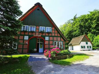 Wandern in der Wingst- die grüne Lunge der Nordsee- 4 Tage