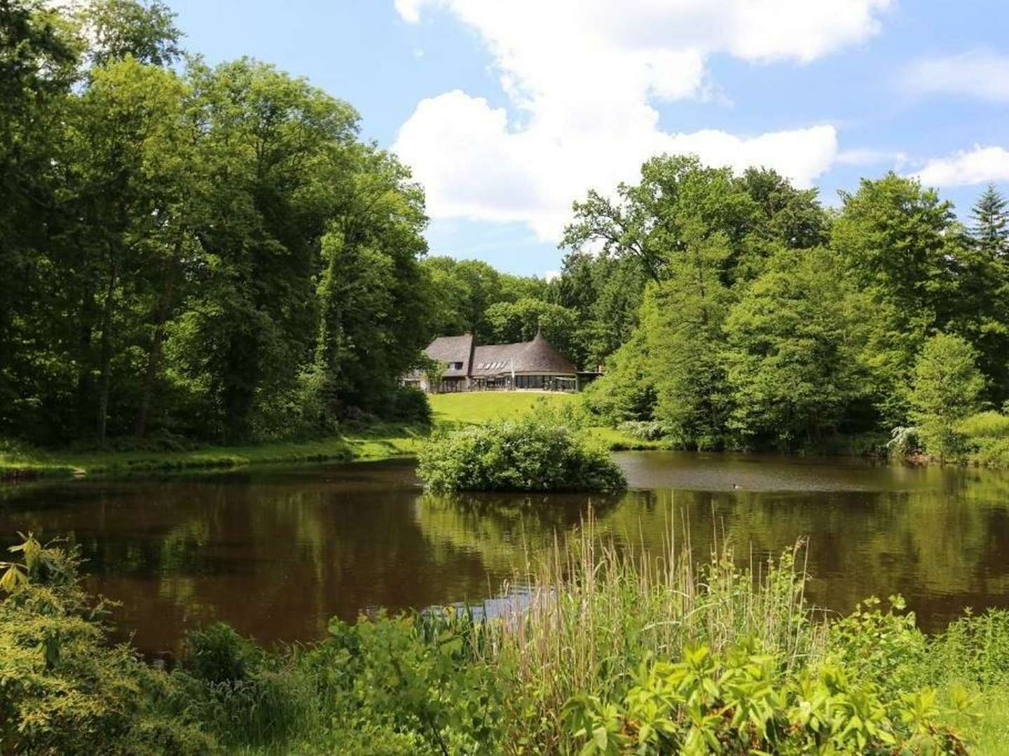 Wandern in der Wingst- die grüne Lunge der Nordsee- 4 Tage