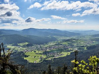 Schnell mal Weg in den Bayerischen Wald - 3 Tage  inkl. Abendessen 2025