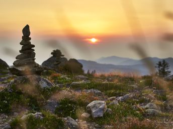 Schnell mal Weg in den Bayerischen Wald - 3 Tage  inkl. Abendessen 