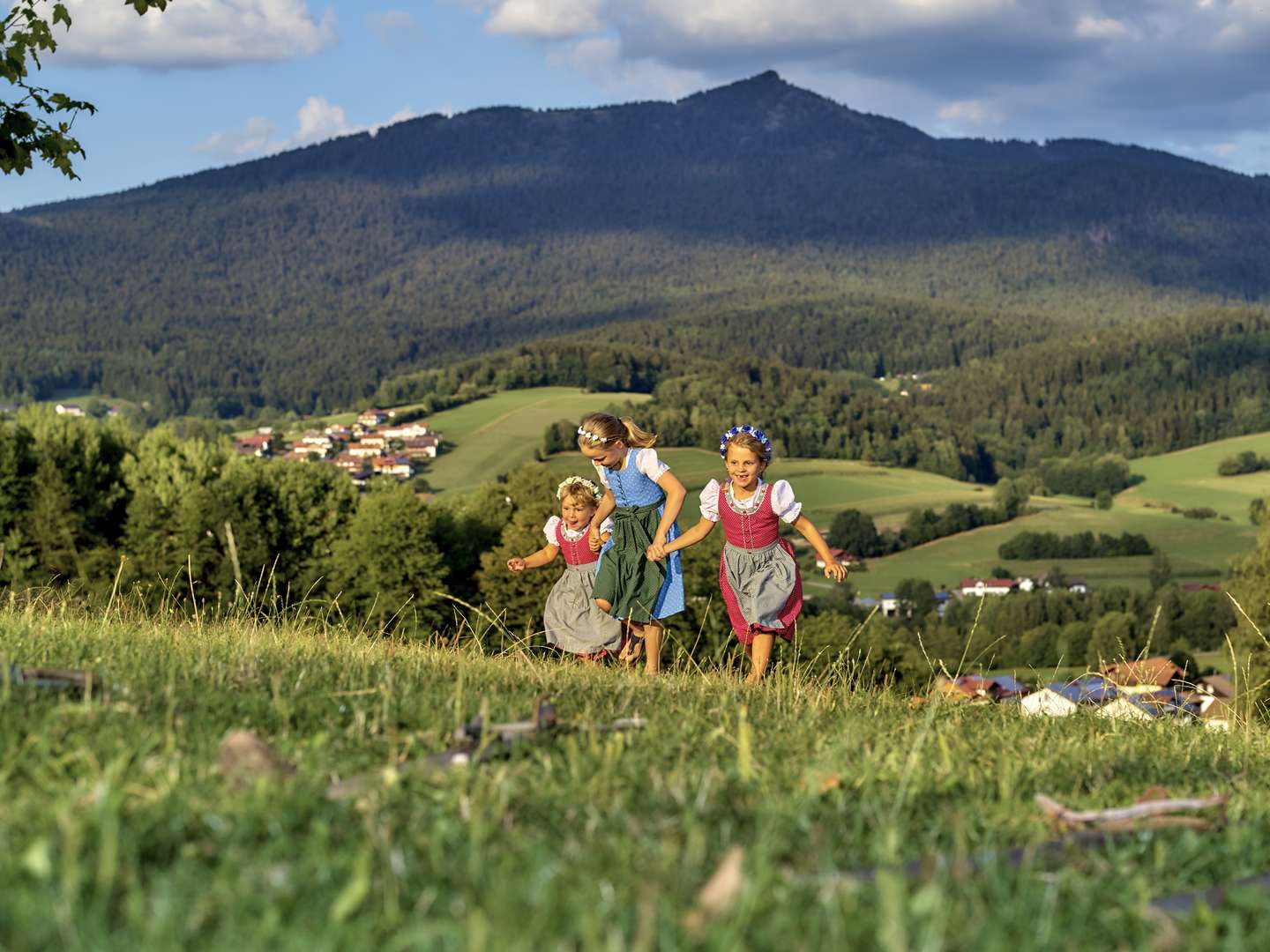 Schnell mal Weg in den Bayerischen Wald - 3 Tage  inkl. Abendessen 2025