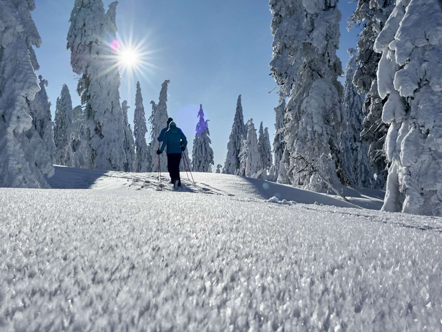 Schnell mal Weg in den Bayerischen Wald - 3 Tage  inkl. Abendessen 2025