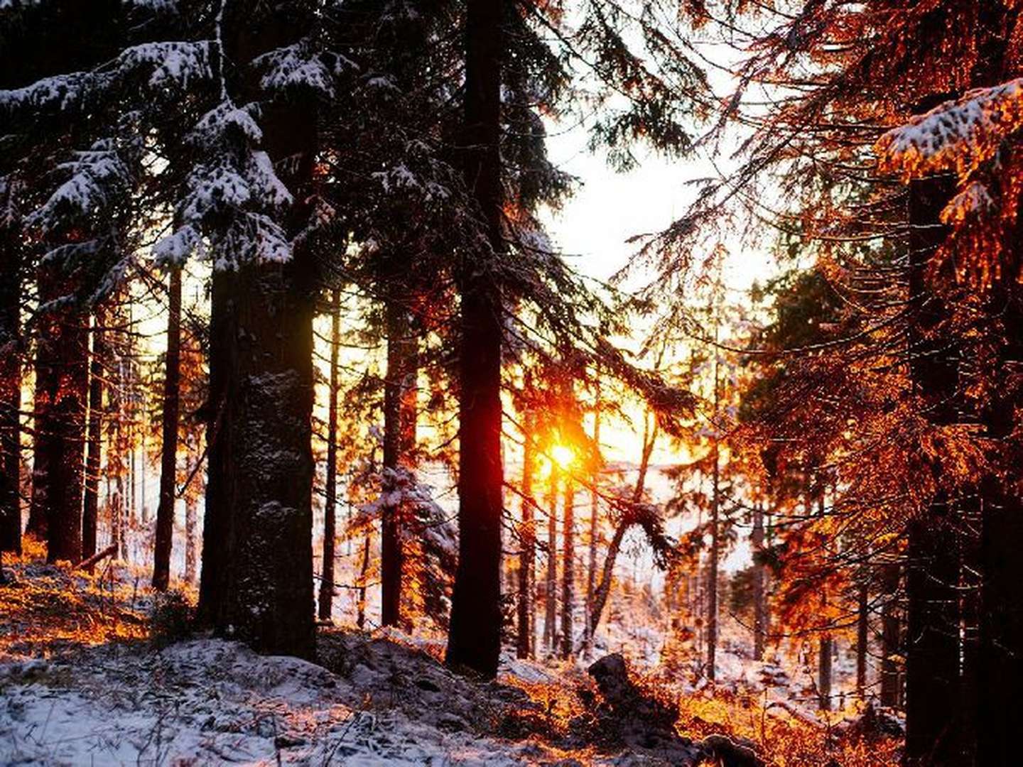 5 Tage Auszeit im Dreiburgenland inkl. Halbpension