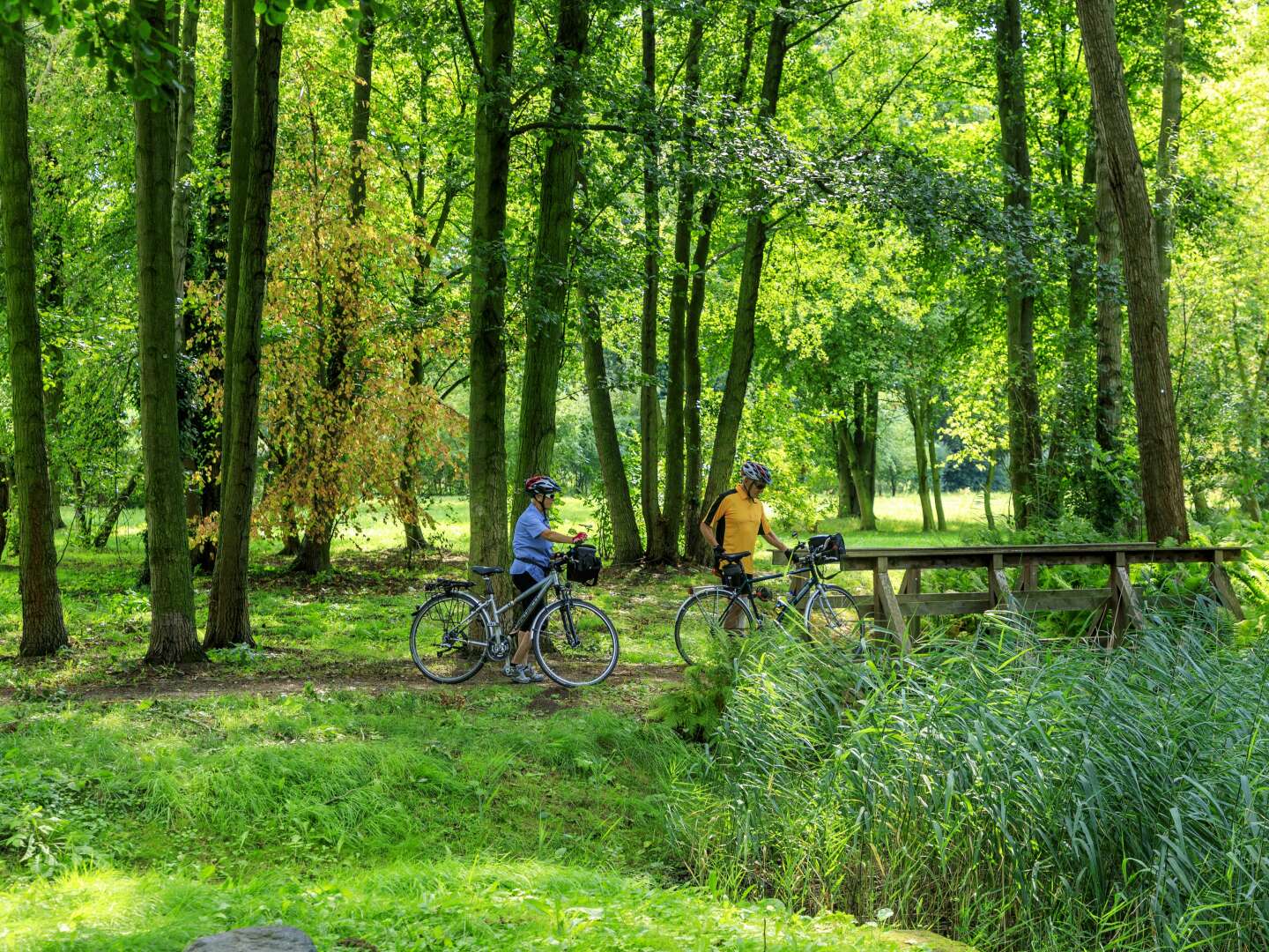 5 Tage Spreewälder Raderlebnis in Thermennähe