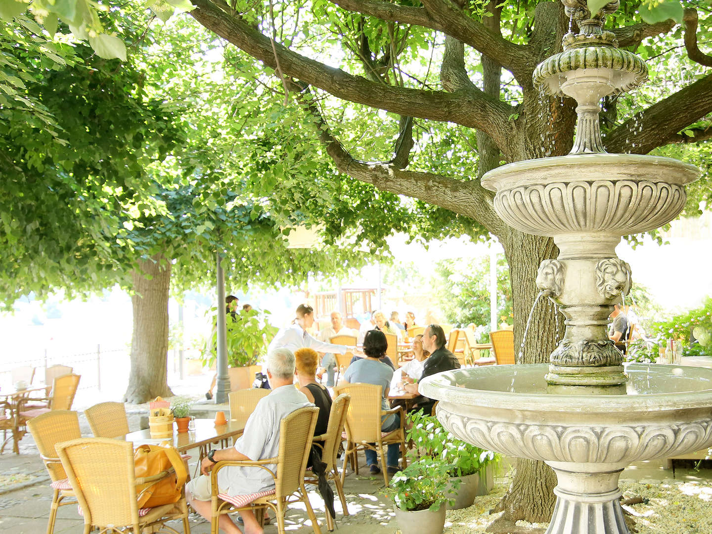 Romantik an der Elbe - 4 Tage im Hotel Elbterrasse Wachwitz - HS