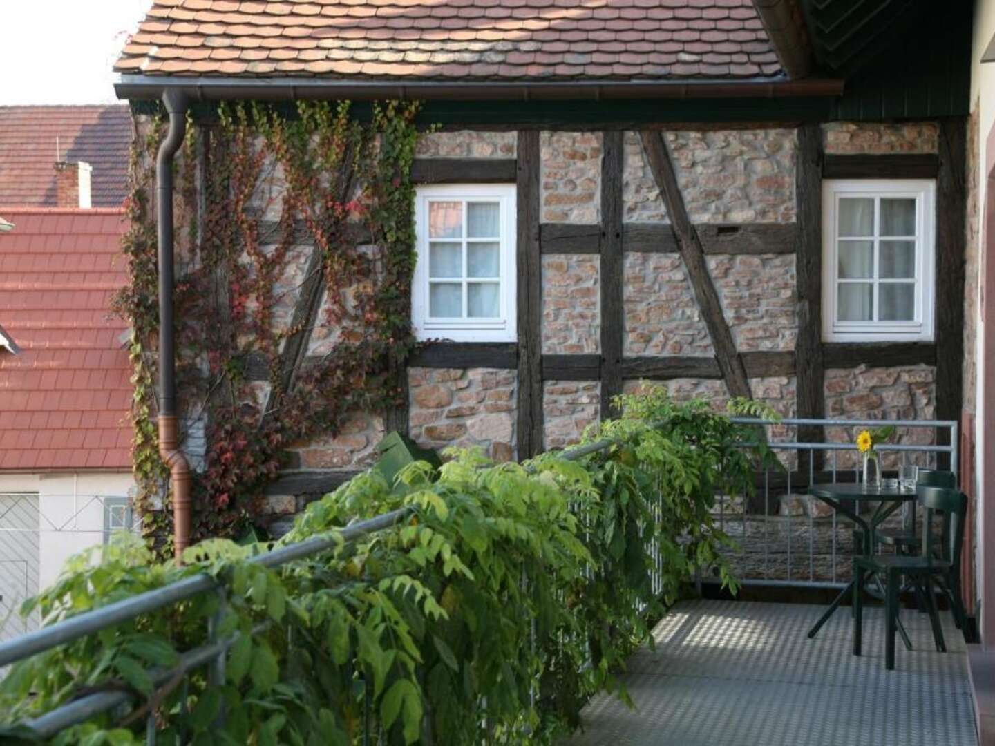 Das ist Wanderbar - erkunden Sie die Pfalz! 3 Tage inkl. Lunchpaket