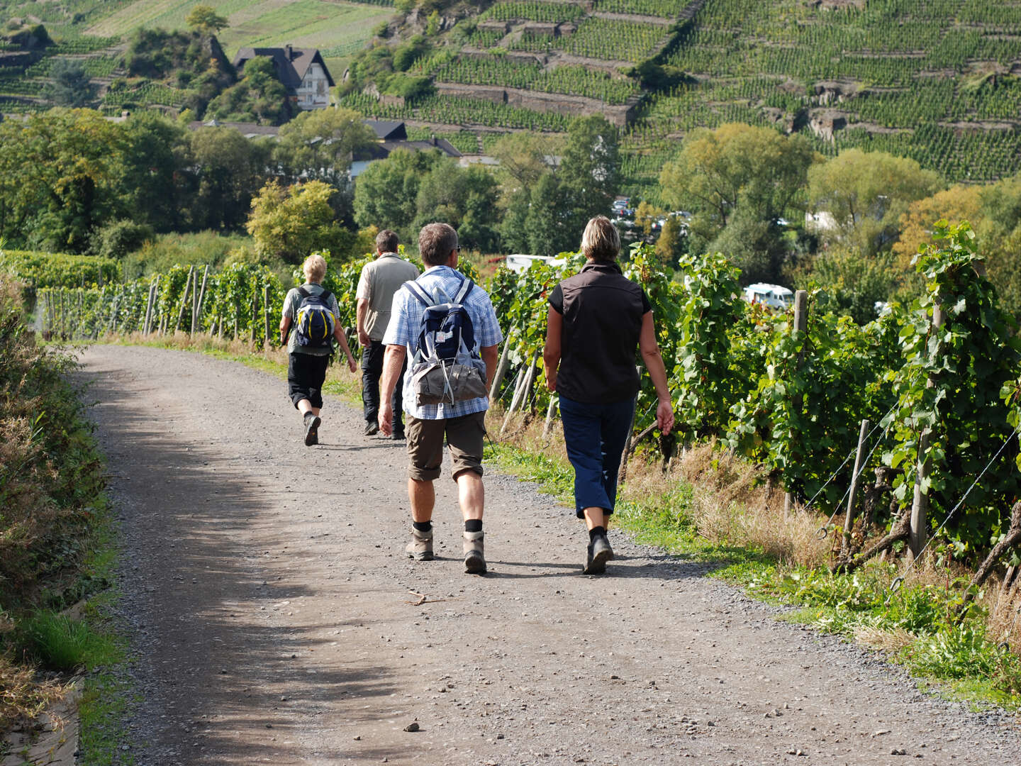 Das ist Wanderbar - erkunden Sie die Pfalz! 3 Tage inkl. Lunchpaket