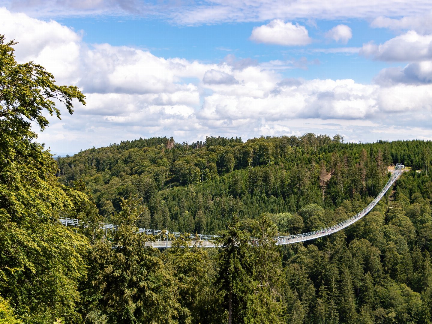 Deine Auszeit im Grünen | Willingen und das Sauerland entdecken