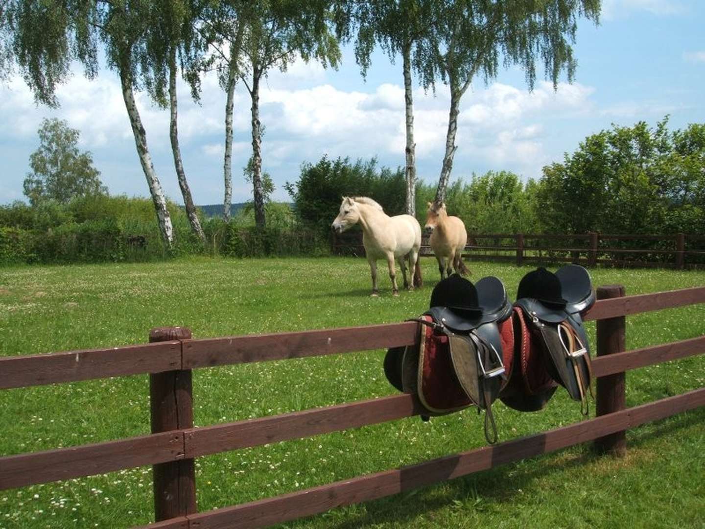 Kurzurlaub - Urlaub inmitten der Mecklenburgischen Seenplatte 