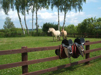 Rundum-Sorglos-Urlaub am Plauer See