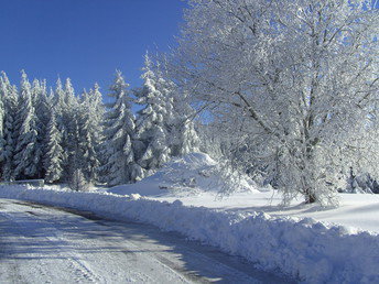 5 Erholungstage im Schwarzwald