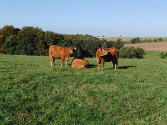 Schlemmen im Spessart 2 Tage